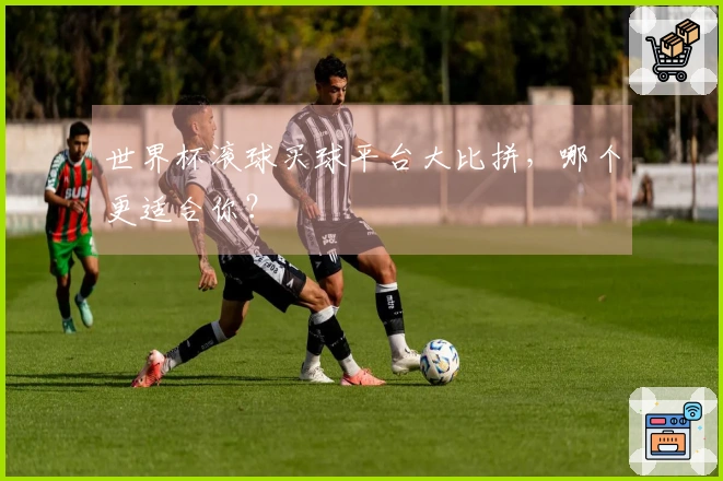 世界杯滚球买球平台大比拼，哪个更适合你？