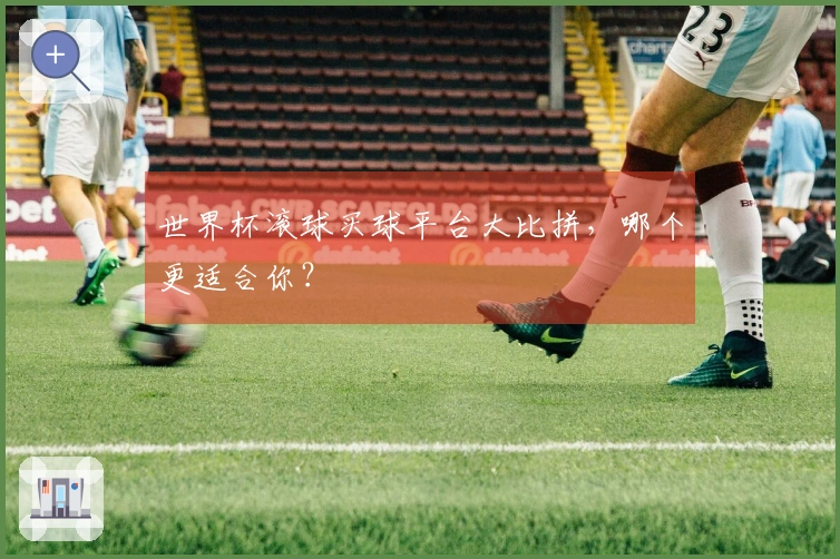 世界杯滚球买球平台大比拼，哪个更适合你？