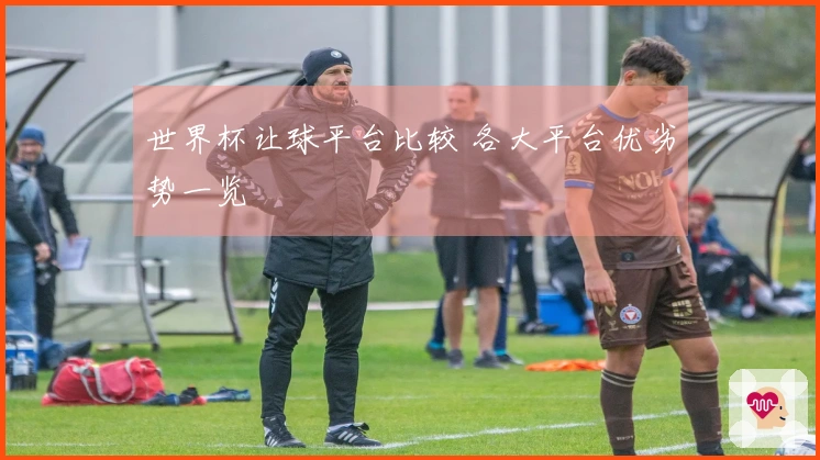 世界杯让球平台比较 各大平台优劣势一览